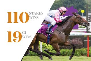 Graduate success in the last five seasons